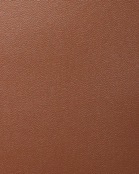 INGNI(イング) ワイドハンドルショルダーバッグ キャメル