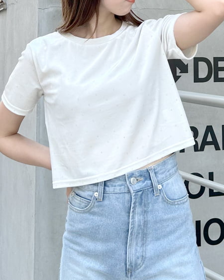 INGNI(イング) ストーン付ベロアTシャツ ｱｲﾎﾞﾘｰ