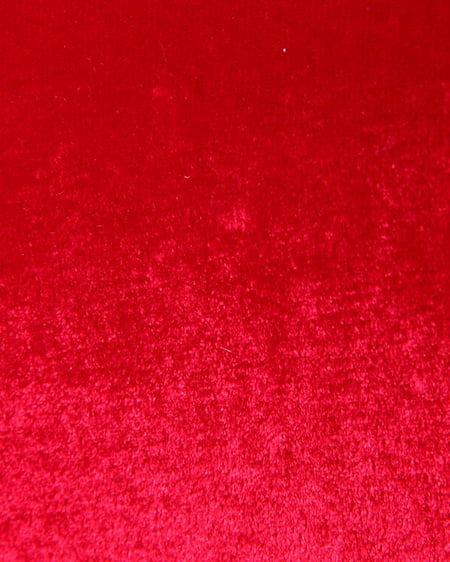 INGNI（イング） ベロアショルダー／BAG ｱｶ