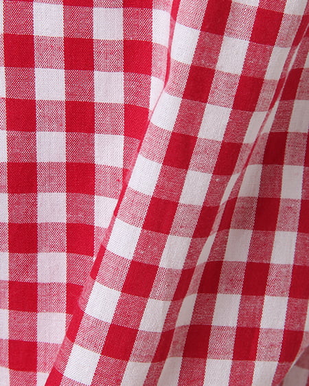 INGNI（イング） 袖フリル前結びギンガム／シャツ ｱｶ/ｷﾞﾝｶﾞﾑ