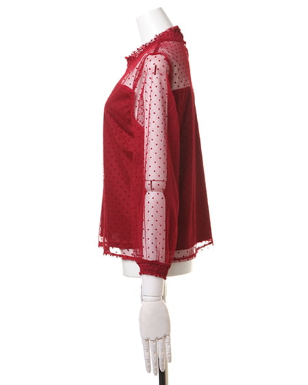 INGNI（イング） シャーリングハイネックドットチュール／トップス長袖 ﾎﾞﾙﾄﾞｰ