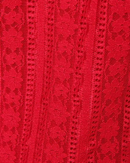 INGNI（イング） ストライプレースハイネックトップス ｱｶ