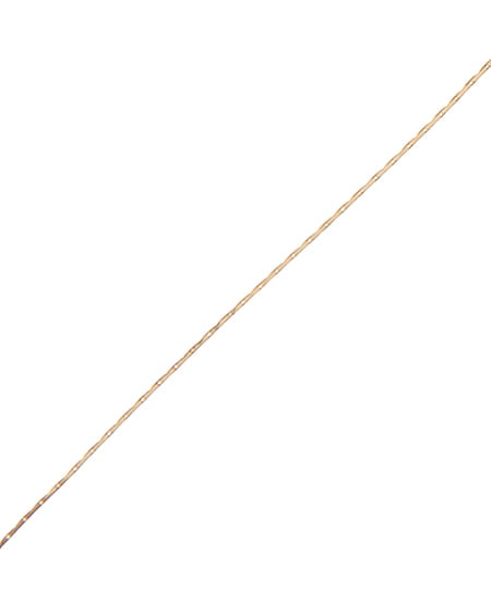 INGNI(イング) コインロングネックレス ゴールド