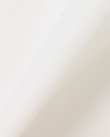 INGNI(イング) BIGレースフリル襟/袖ブラウス オフホワイト