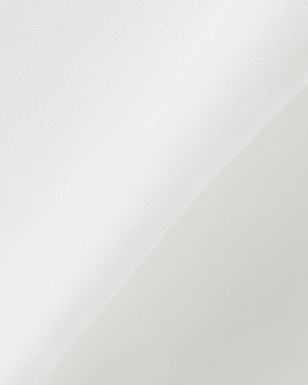INGNI（イング） オーガンジーリボンオフショルブラウス ｵﾌﾎﾜｲﾄ