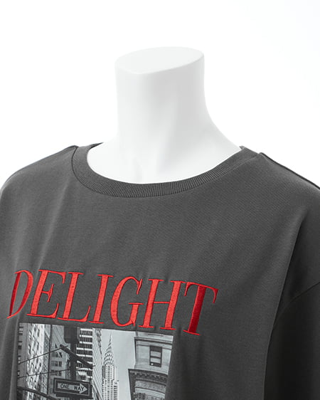 INGNI（イング） 転写フォトTシャツ ﾁｬｺｰﾙｸﾞﾚｰ/ｱｶ