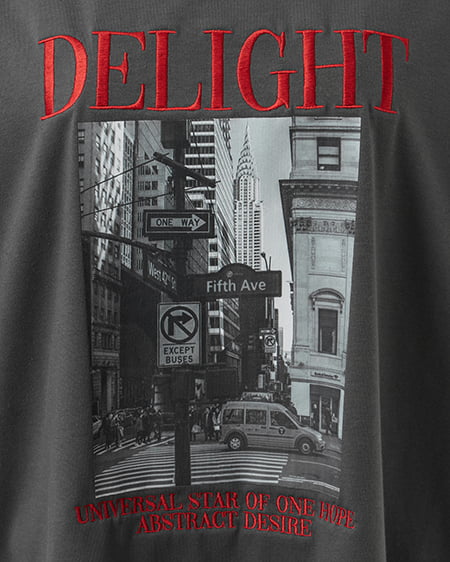INGNI（イング） 転写フォトTシャツ ﾁｬｺｰﾙｸﾞﾚｰ/ｱｶ