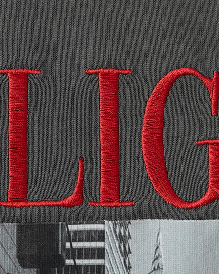 INGNI（イング） 転写フォトTシャツ ﾁｬｺｰﾙｸﾞﾚｰ/ｱｶ