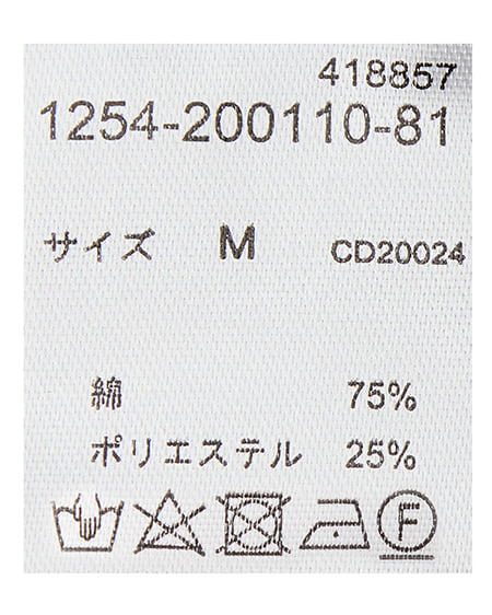 INGNI（イング） 胸刺繍ボウタイブラウス ﾌﾞﾗｳﾝ/ﾁｪｯｸ