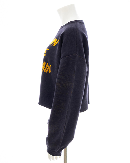 INGNI(イング) ショート丈3段ロゴニット コン/マスタード