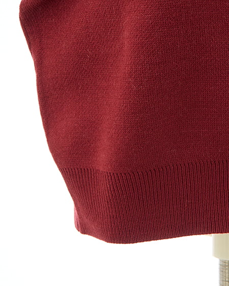 INGNI(イング) ハーフジップショート丈ロゴニット ボルドー/オフホワイト