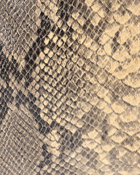 INGNI(イング) マルチショルダーバッグ パイソン