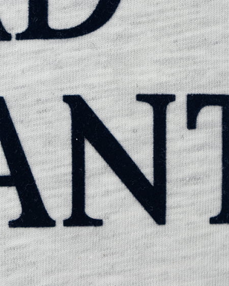 INGNI(イング) フロッキーロゴTシャツ オートミール