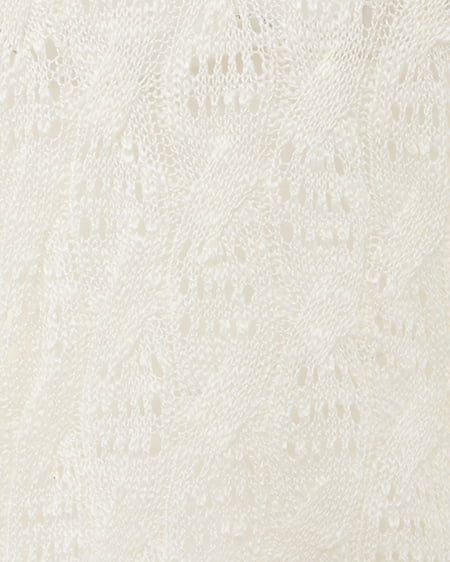 INGNI（イング） 透かし編みニットプルオーバー ｱｲﾎﾞﾘｰ